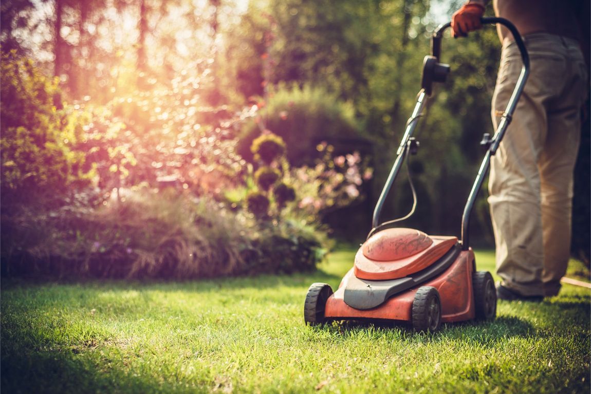 articoli per il giardinaggio