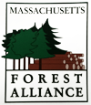 Forest Alliance Big Trees — Land Clearing In Westminster, MA Forest Alliance Big Trees — Land Clearing In Westminster, MA
