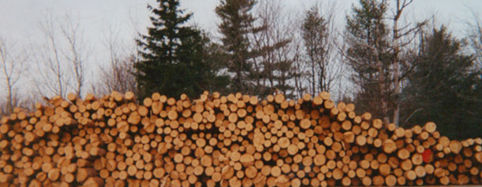 Pile of Logs 2 — Land Clearing In Westminster, MA Pile of Logs 2 — Land Clearing In Westminster, MA