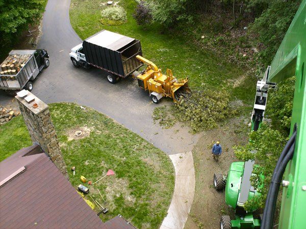 Truck Clearing Trees — Tree Removal Services In Westminster, MA