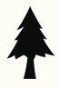 Pine Tree — Land Clearing In Westminster, MA Pine Tree — Land Clearing In Westminster, MA