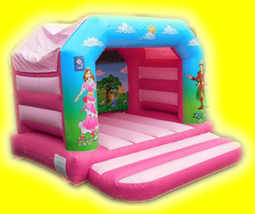 Princess bouncy castle Link pink and magenta coloured bouncy castle with Princess themed artwork