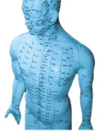 Disegno in 3D del corpo umano con mappa dei punti QiGong