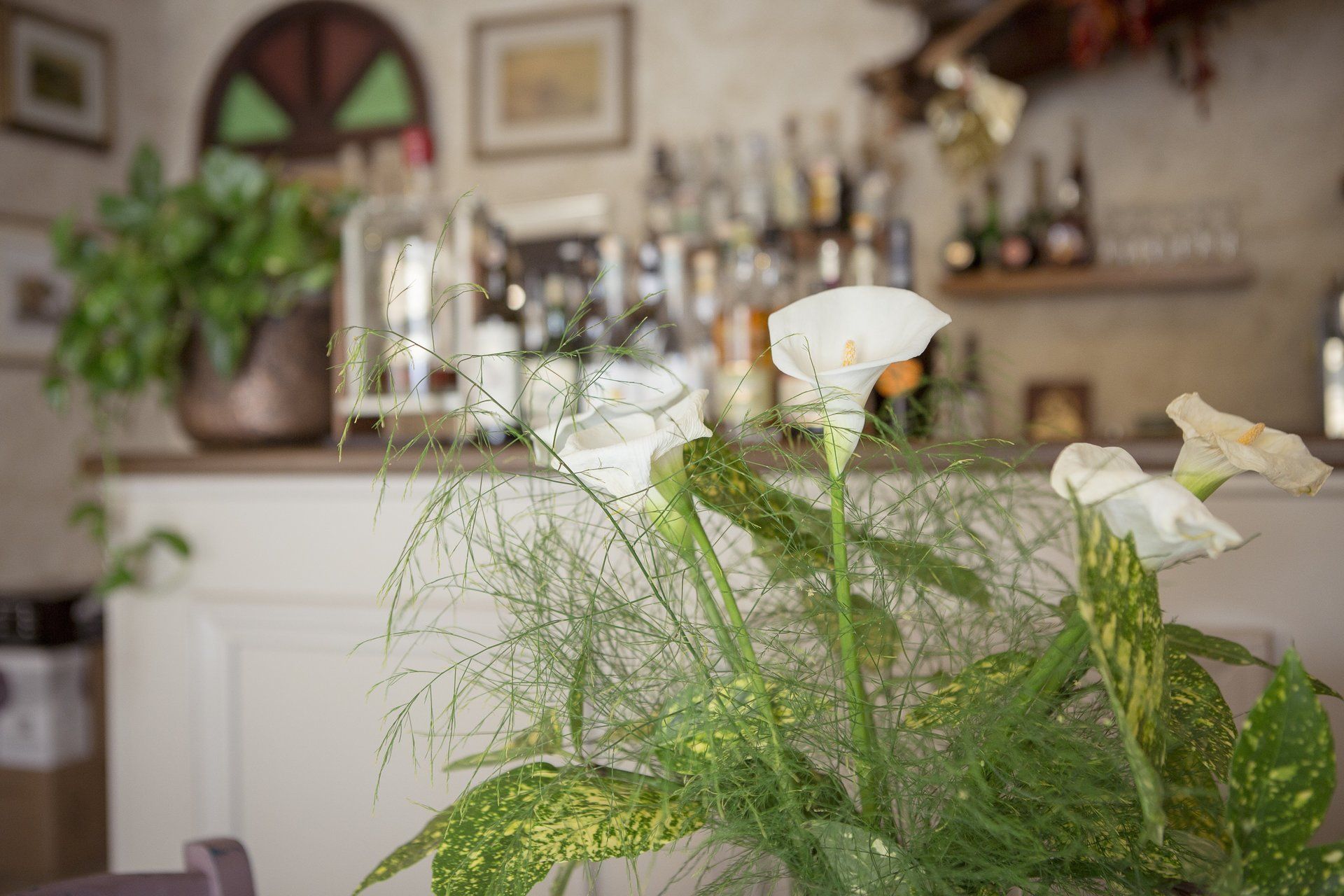 Trattoria La Rustica - Ravenna