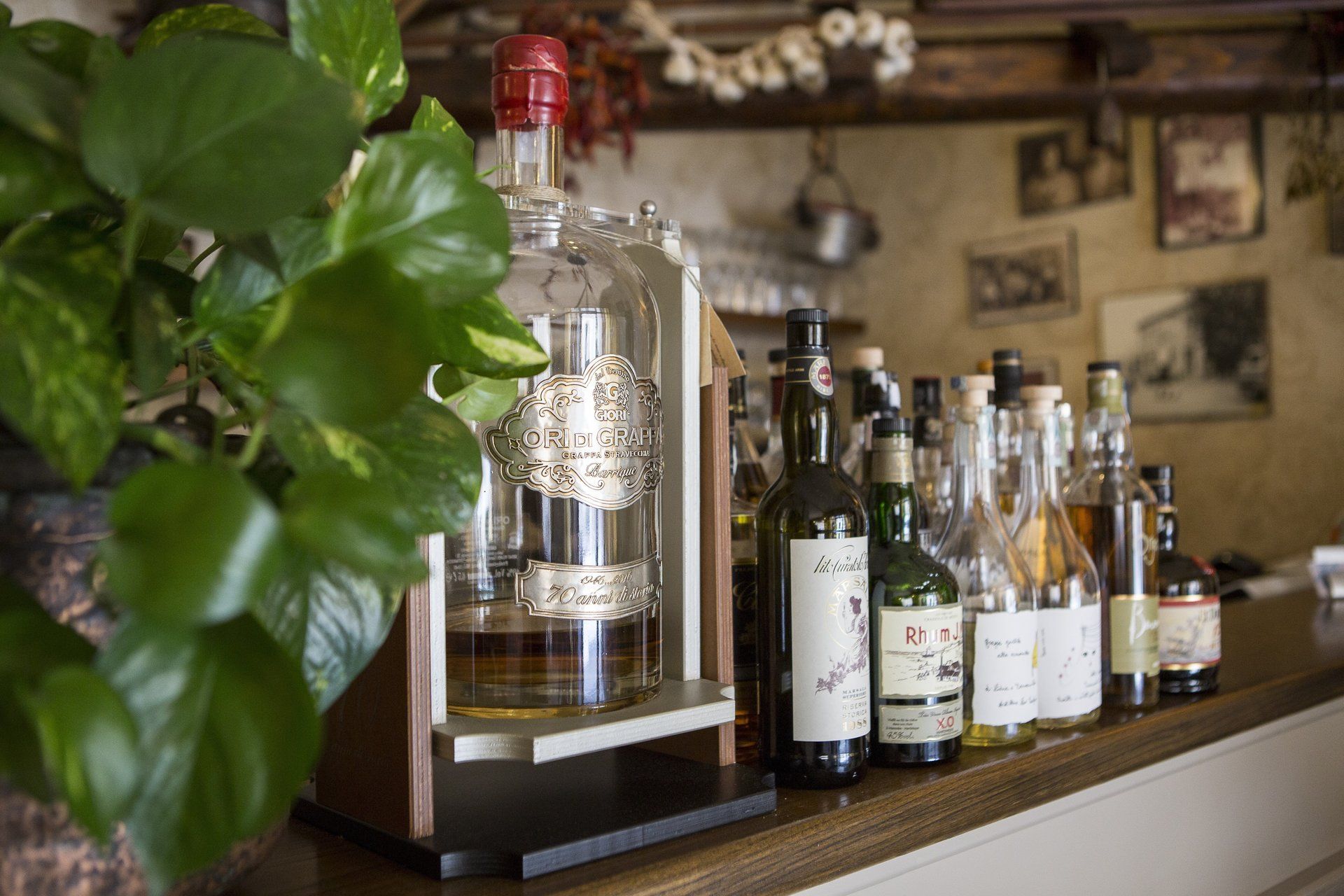 Trattoria La Rustica - Ravenna
