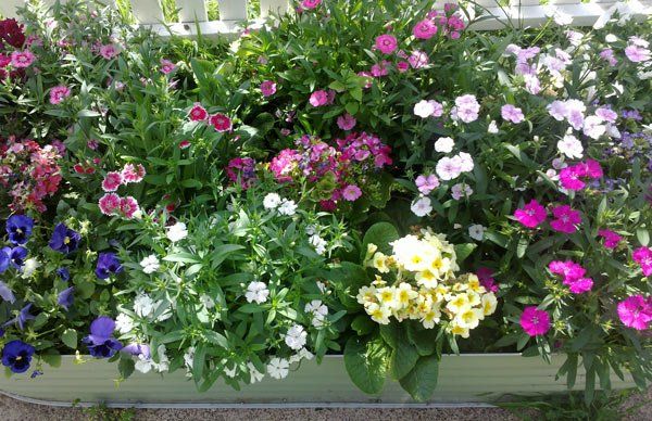 Corrugated Raised Garden Beds Tomerong NSW