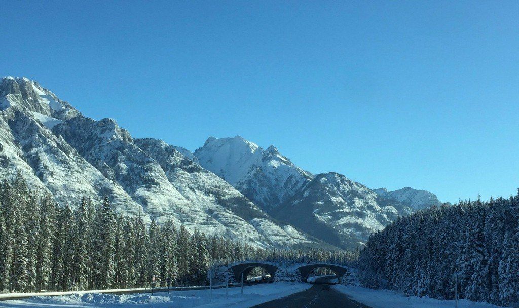 a car is driving down a snowy road with mountains in the background .