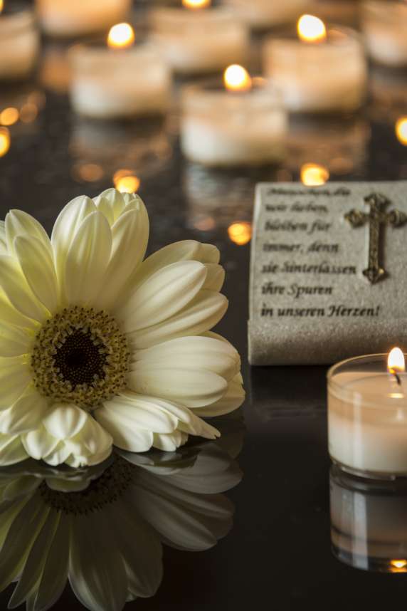 orangeville cremation solutions