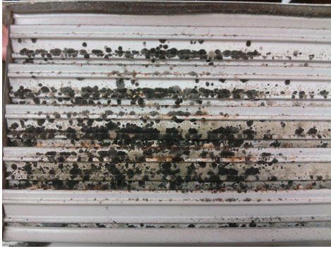 Mouldy Air Conditioning Vent in Darwin