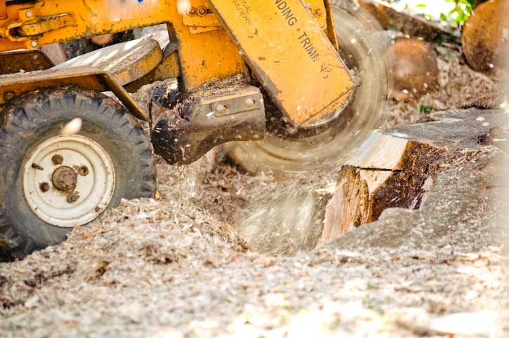 Stump Grinding - Tree Service in Blairsville, PA Stump Grinding - Tree Service in Blairsville, PA