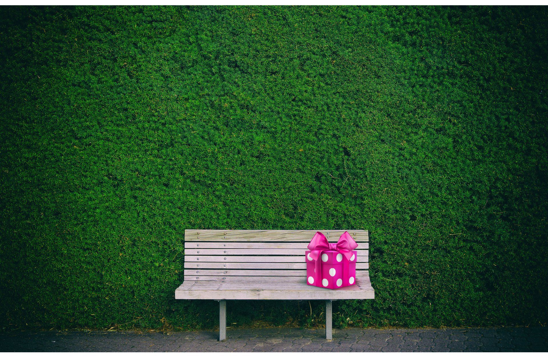 Benched & Guide