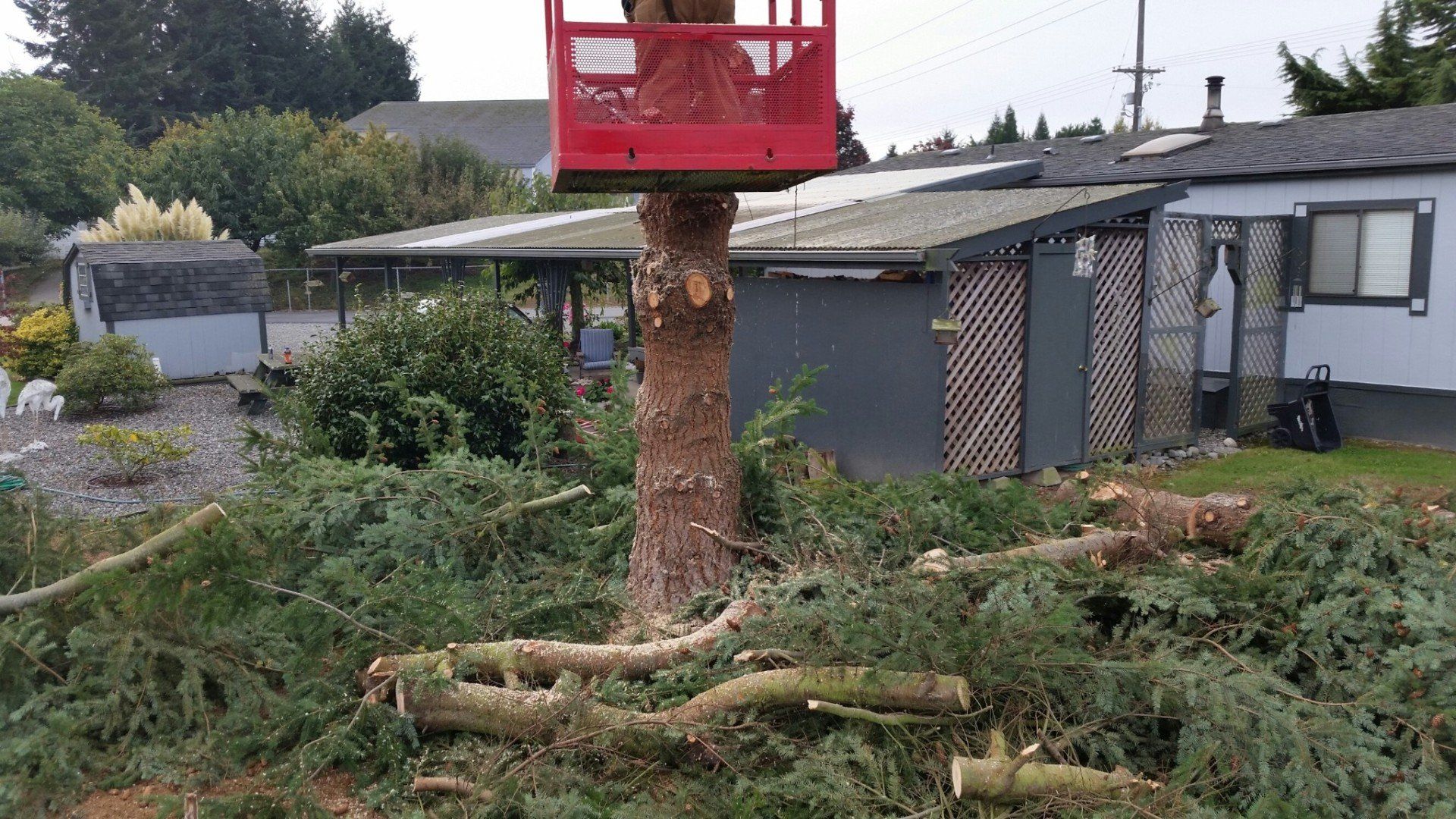 Tree Work and Hauling