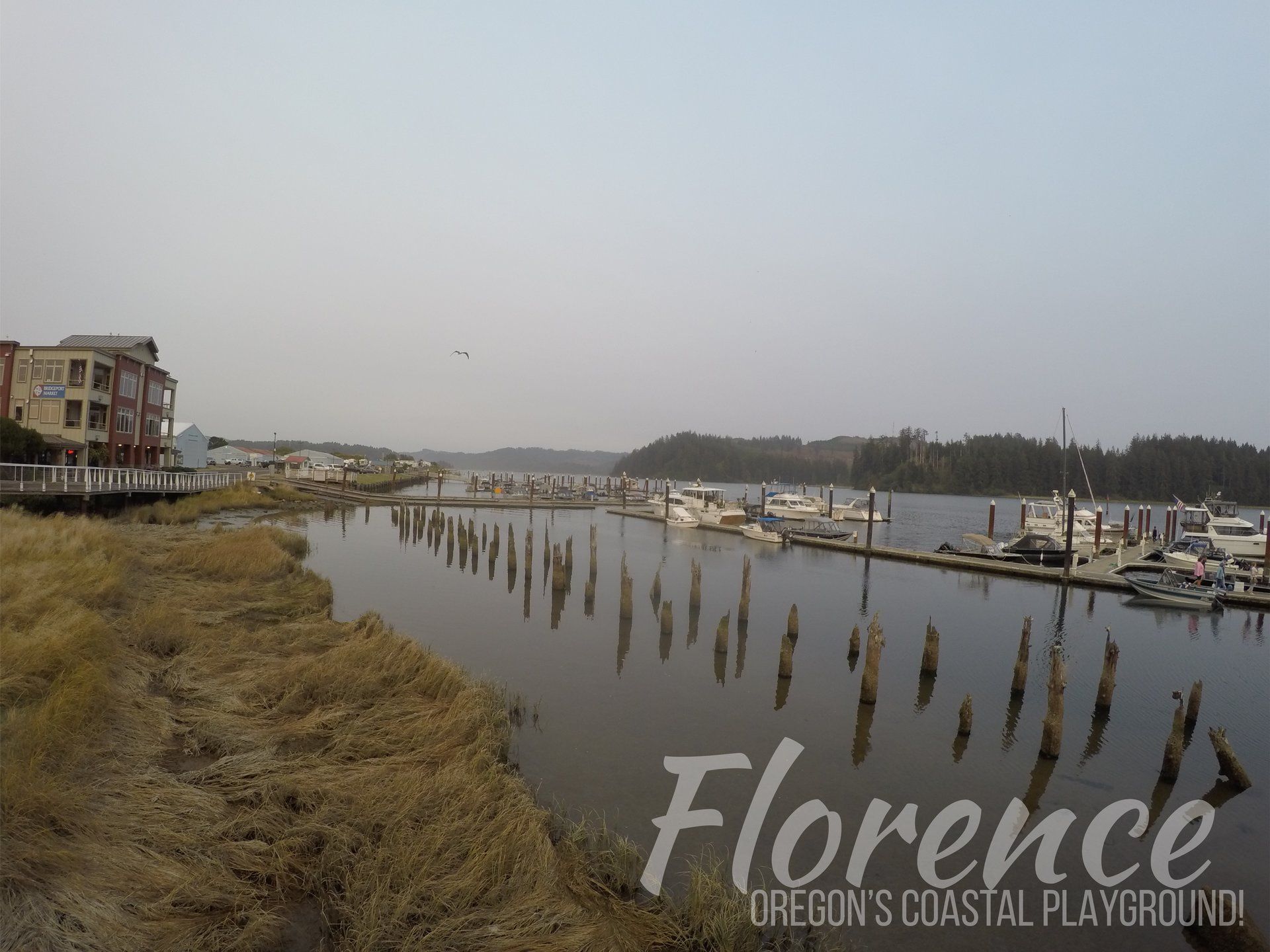 Things to do in Florence, OR