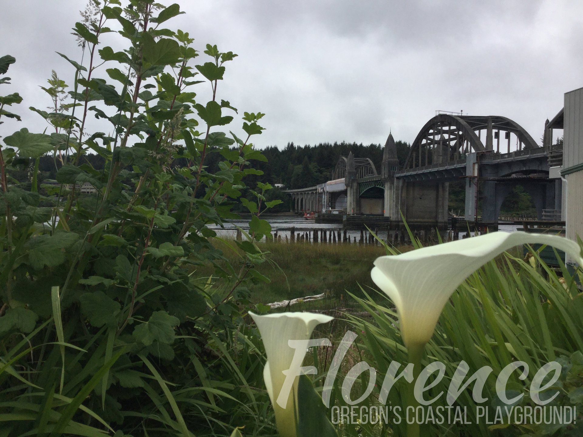 Things to do in Florence, OR