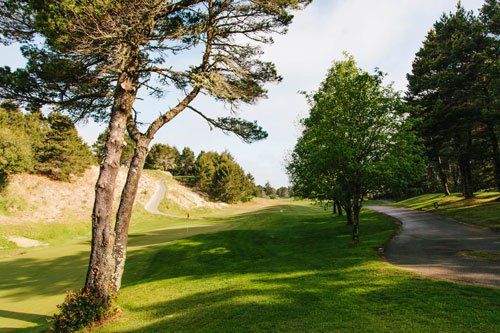 Golf in florence, or