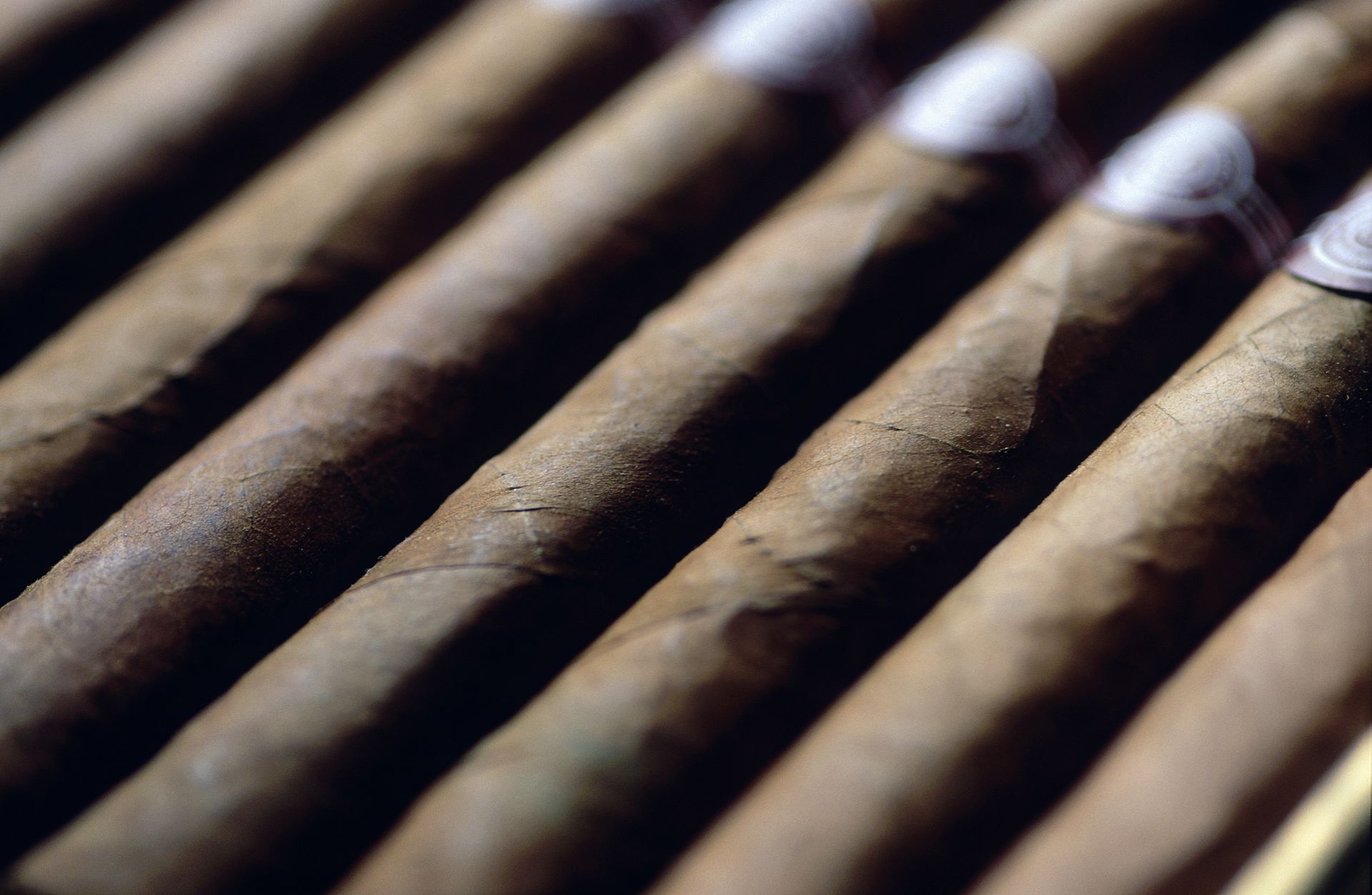 cigar accessories in little rock
