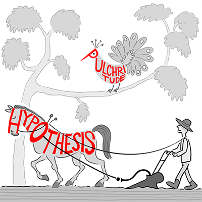 Myth #9: All infrequent words are of equivalent importance.