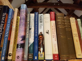 Books in book shelf