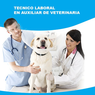 TÉCNICO LABORAL AUXILIAR