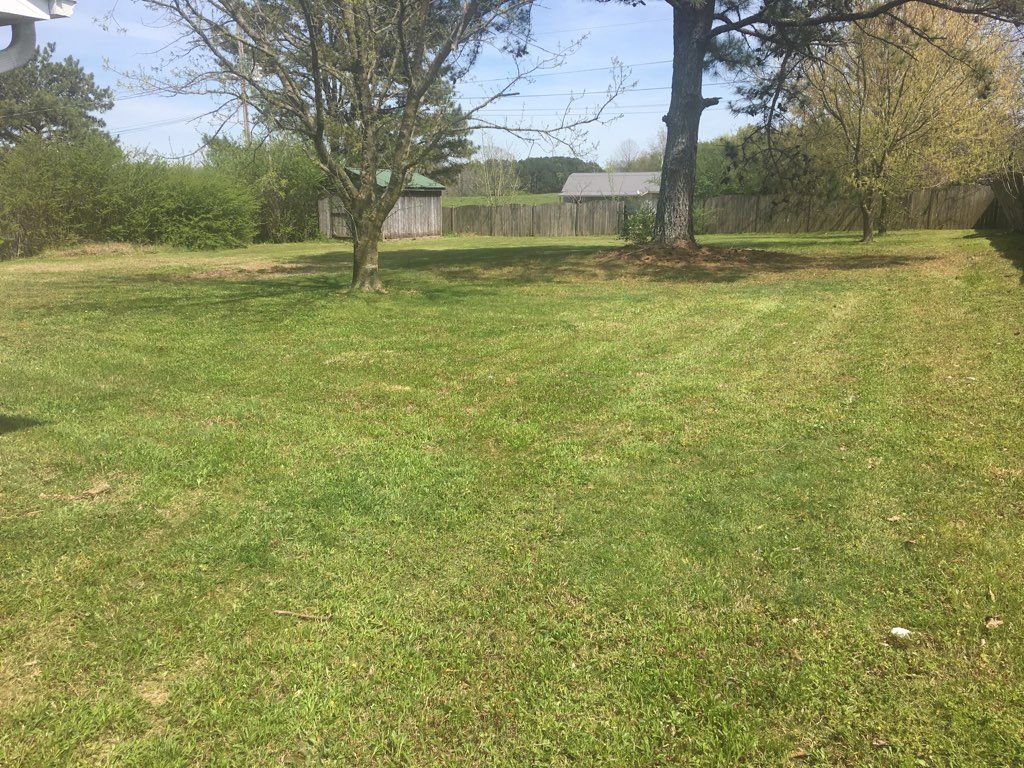 A lush green field with trees and a fence in the background.