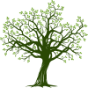 Jime's Tree Svce