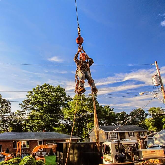 Jime's Tree Service - Tree services in Albany NY