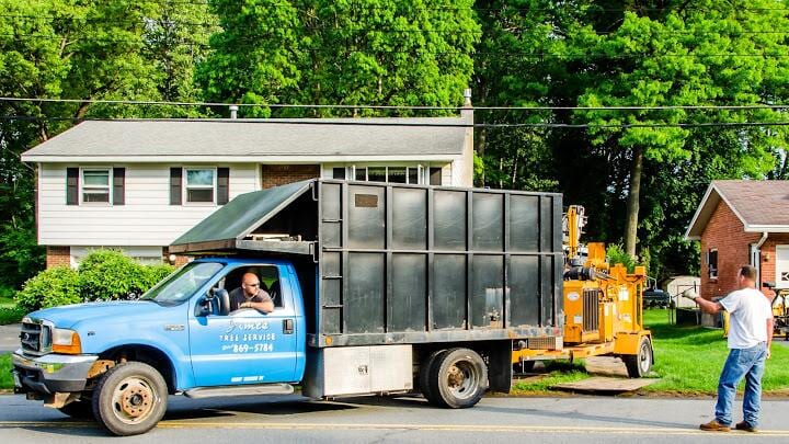 Prep In Progress Jime's Tree Service - Tree services in Albany NY
