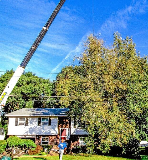 Raising Crane Jime's Tree Service - Tree services in Albany NY