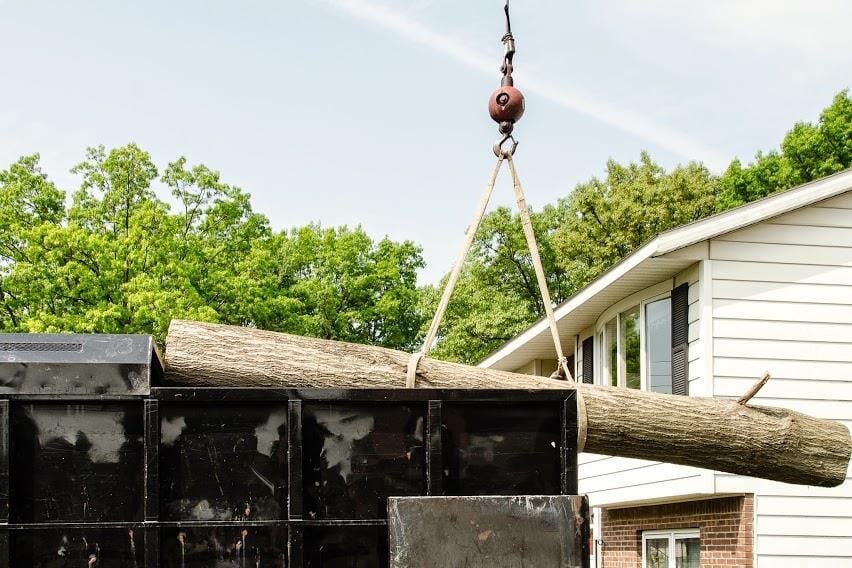 Tree Lift Jime's Tree Service - Tree services in Albany NY
