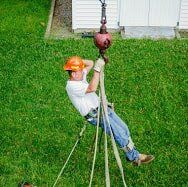 Crew Member Up Jime's Tree Service - Tree services in Albany NY