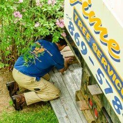Display Sign Jime's Tree Service - Tree services in Albany NY