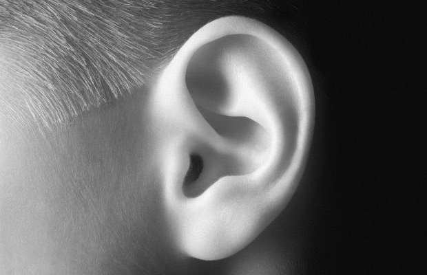 Un primer plano de la oreja de un niño en una fotografía en blanco y negro.
