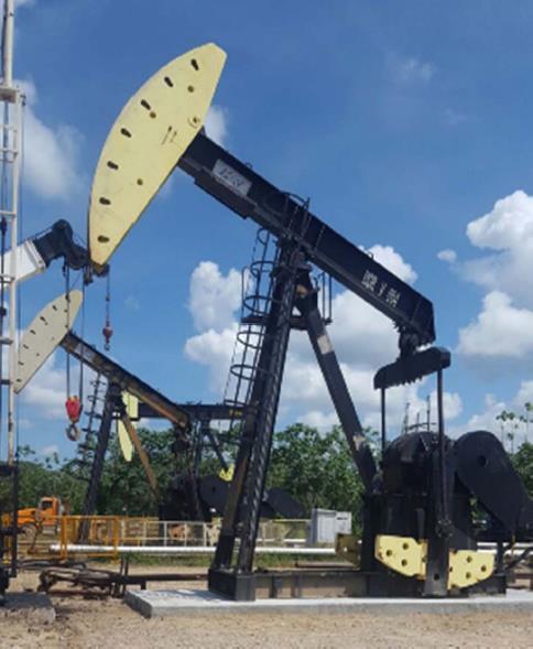 MANSAROVAR ENERGY COLOMBIA LTD.