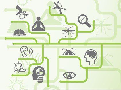 Un laberinto con varios iconos sobre un fondo verde.