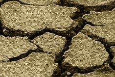 Un primer plano de una pila de rocas agrietadas.