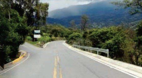 Un camino que atraviesa un bosque con montañas al fondo.