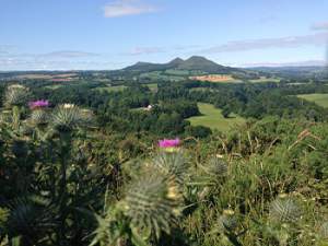 Scott's View, Borders