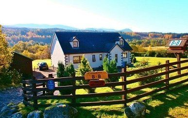 serendipity bed and breakfast