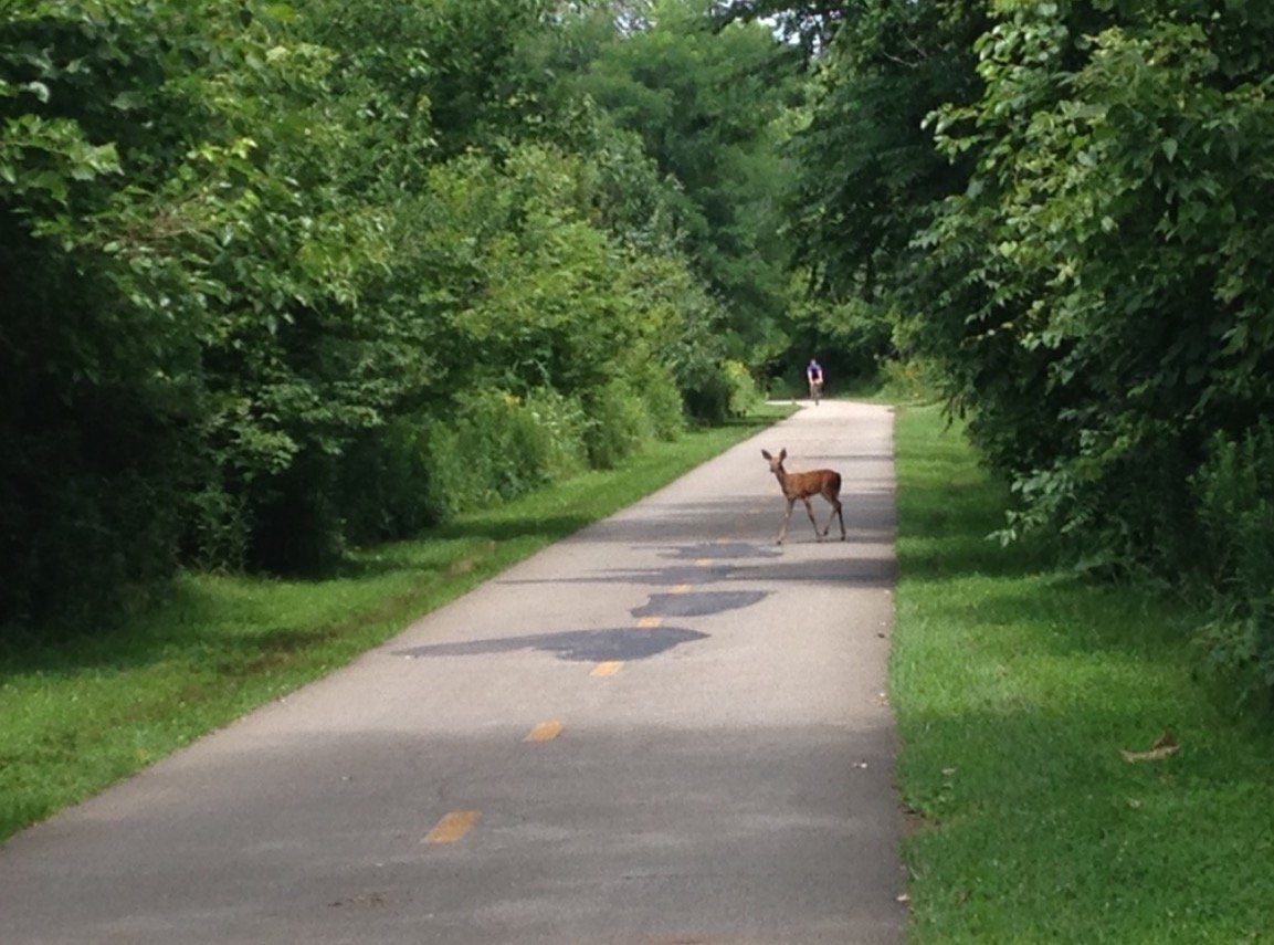 Olentangy Bike Trail