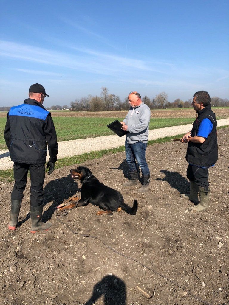 Frühjahrsprüfung 2019 BG Augsburg