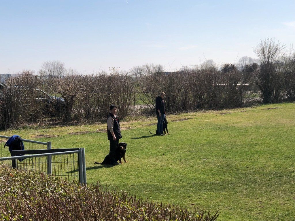 Frühjahrsprüfung 2019 BG Augsburg
