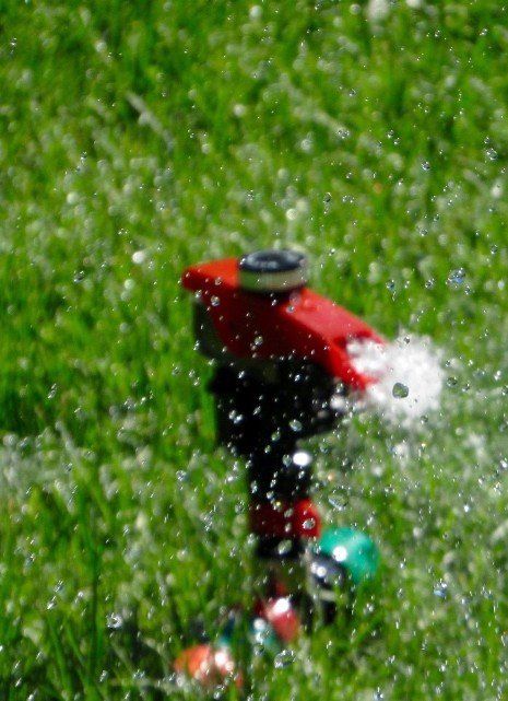 Sprinler in Yard