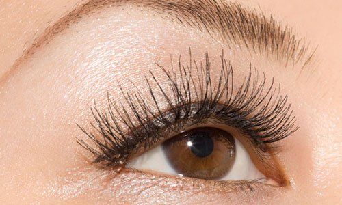 Eyebrow shape
