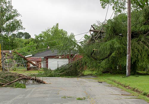 Tornado Damage — Cornville, AZ — Badger Brothers Tree Service