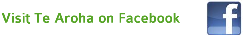 Facebook link