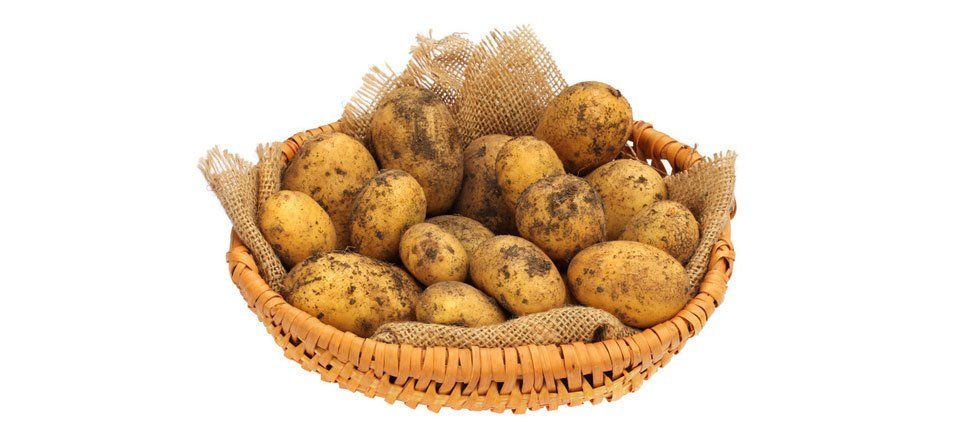 Potato experts