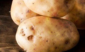 fantastic range of potatoes