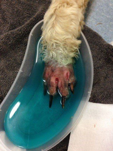 bathing foot