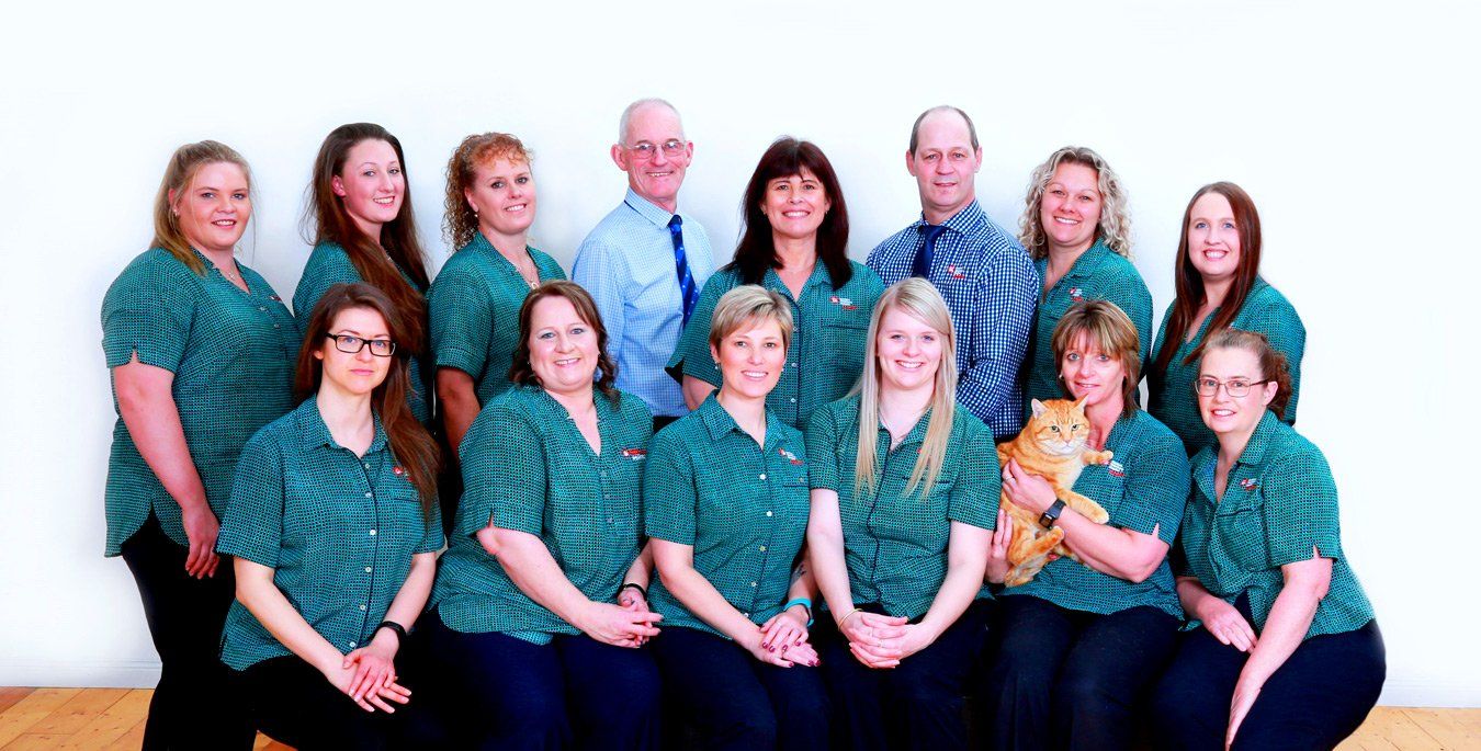 Meet the Team