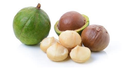 macadamia nuts